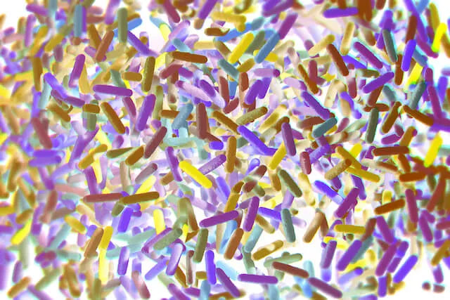 Here Are the Latest Advancements in Microbiome Health