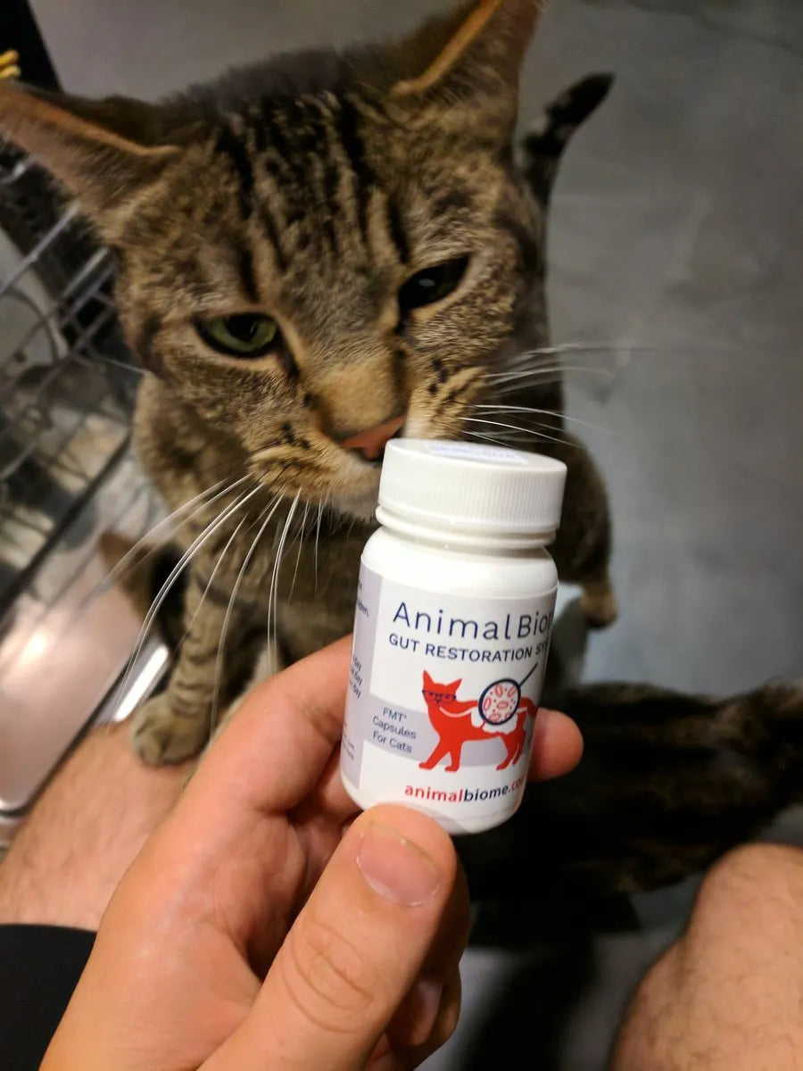 Pet Probiotics and Poobiotics