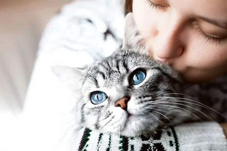 Why Your Cat’s Microbiome Matters