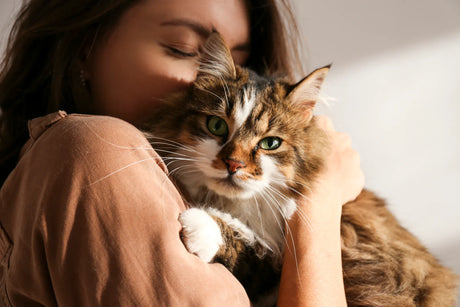 How To Support Your Cat’s Gut Microbiome During & After Antibiotics