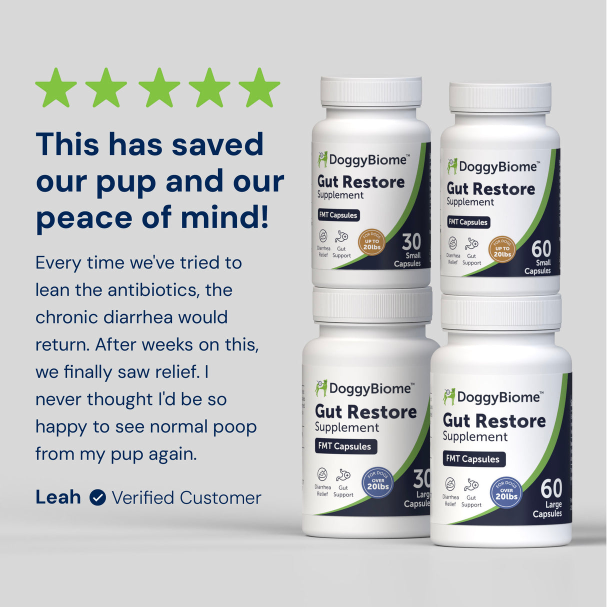 Gut Restore Supplement for Dogs