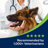 Gut Restore Supplement from Standard Diet-Fed Dogs