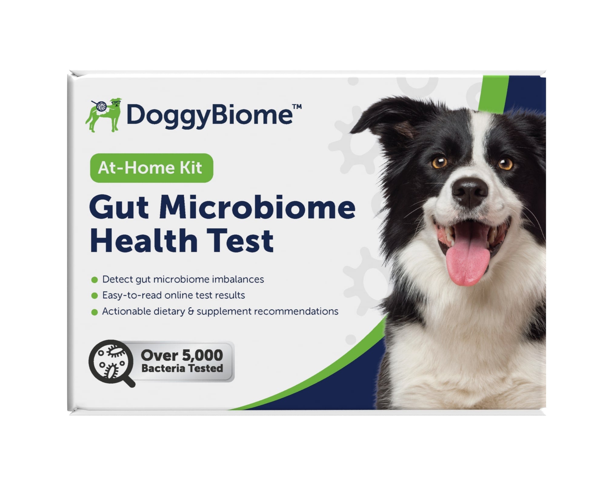 Has Your Dog Been Prescribed Metronidazole Important Information All Owners Should Know AnimalBiome