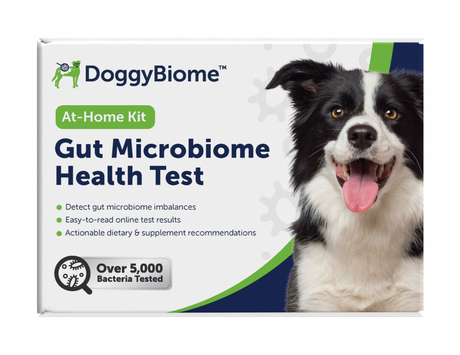 Box of DoggyBiome powered by AnimalBiome Gut Microbiome Health Test