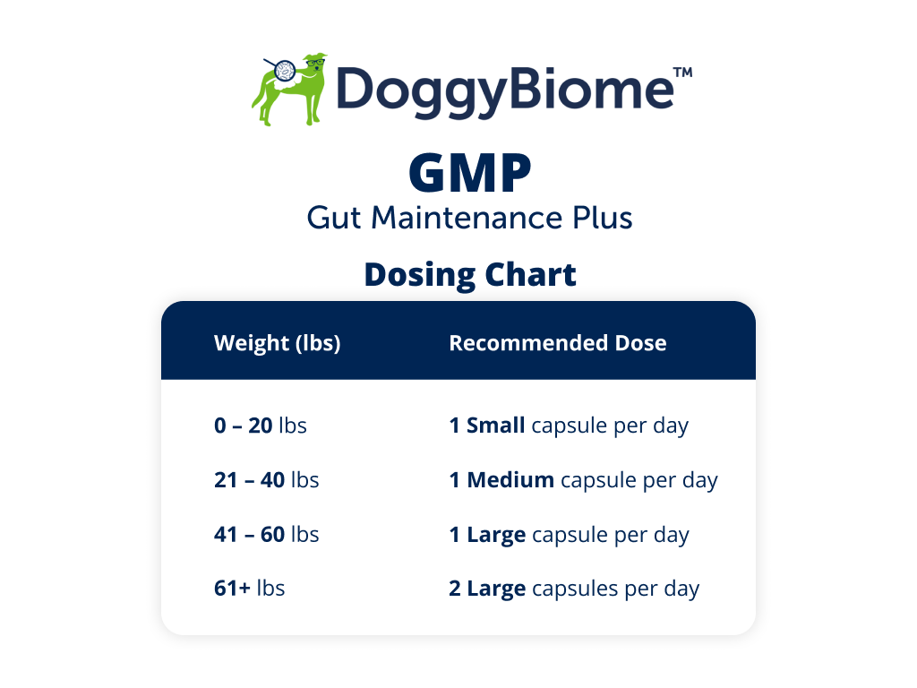 DoggyBiome GMP Dosing Chart, 0-20 lbs give 1 small capsule/day, 21-40 lbs give 1 medium capsule/day, 41-60 lbs give 1 large capsule/day, 61+ lbs give 2 large capsules/day