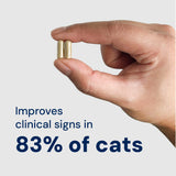 Gut Restore Supplement for Cats