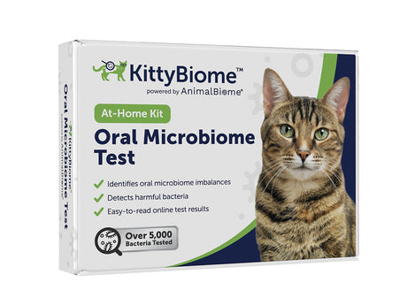 Tilted side view of a box of KittyBiome Oral Microbiome Test on a white background