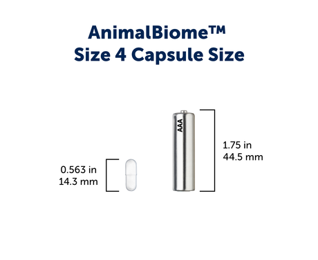 Size comparison of a size capsule to a AAA battery. Capsule is 14.3mm while battery is 44.5mm