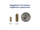 DoggyBiome™ Gut Restore Supplement from Naturally Reared Dogs